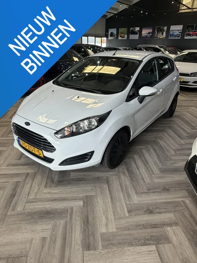 Ford Fiesta (2013) — foto 1