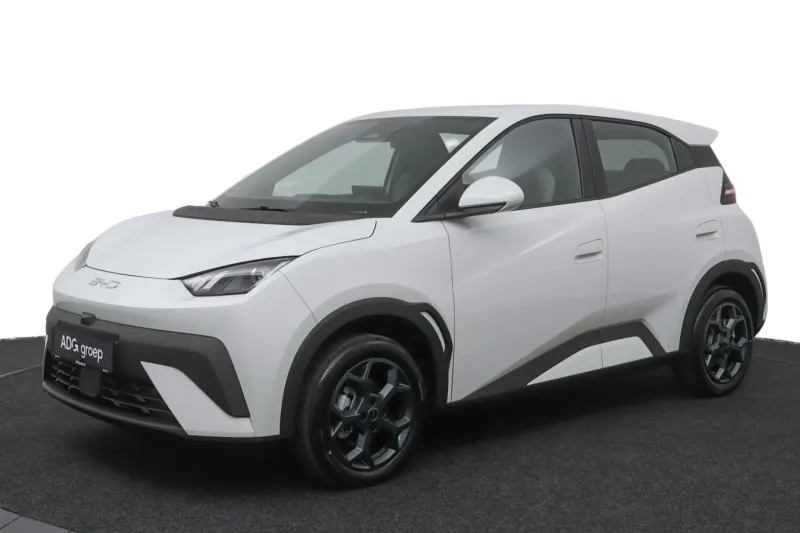 BYD Dolphin Surf (2026)