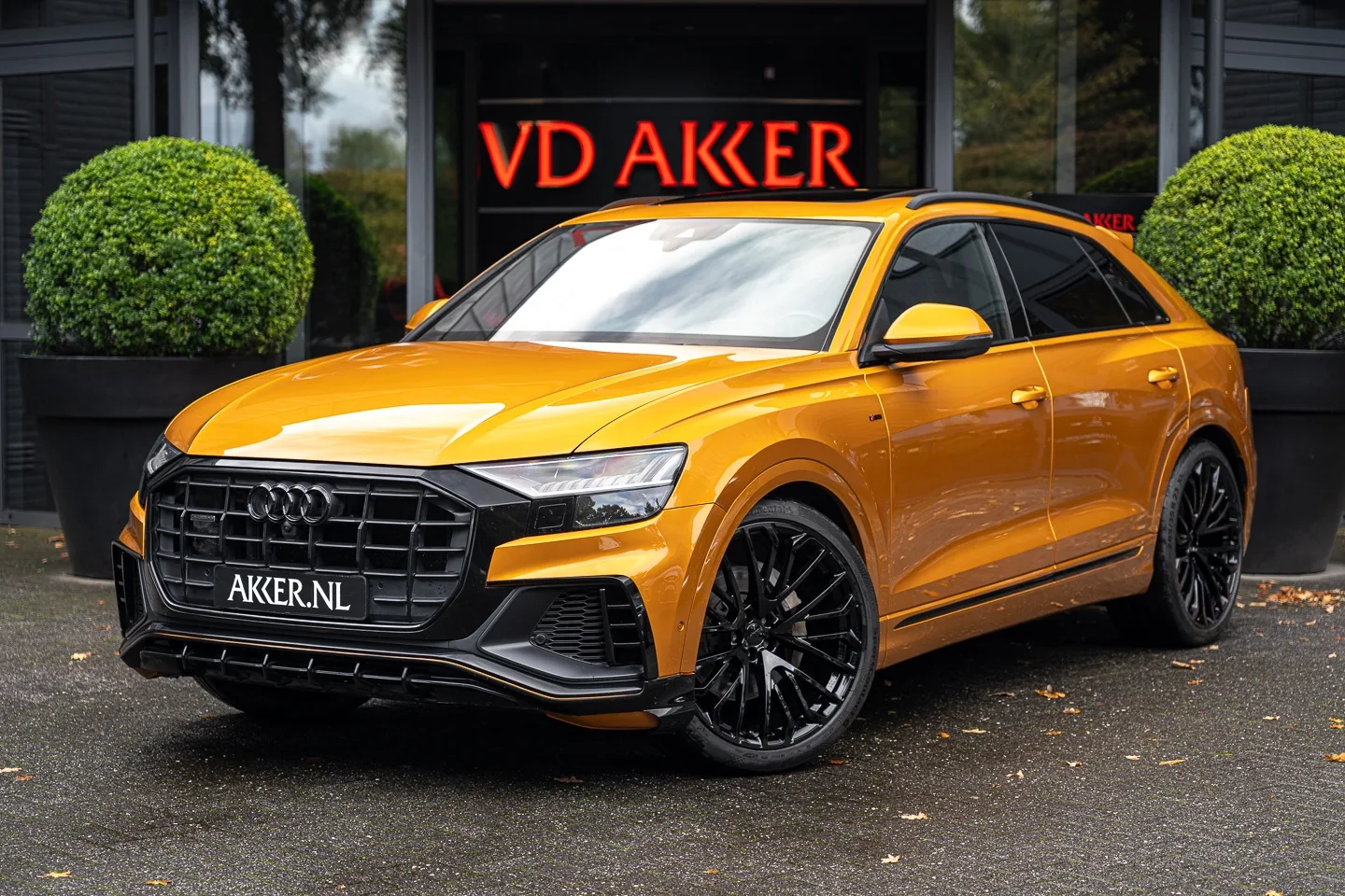 Audi Q8 (2019) — foto 1