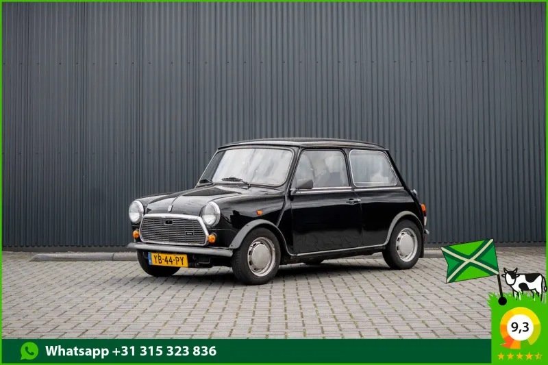 MINI 1000 (1990)