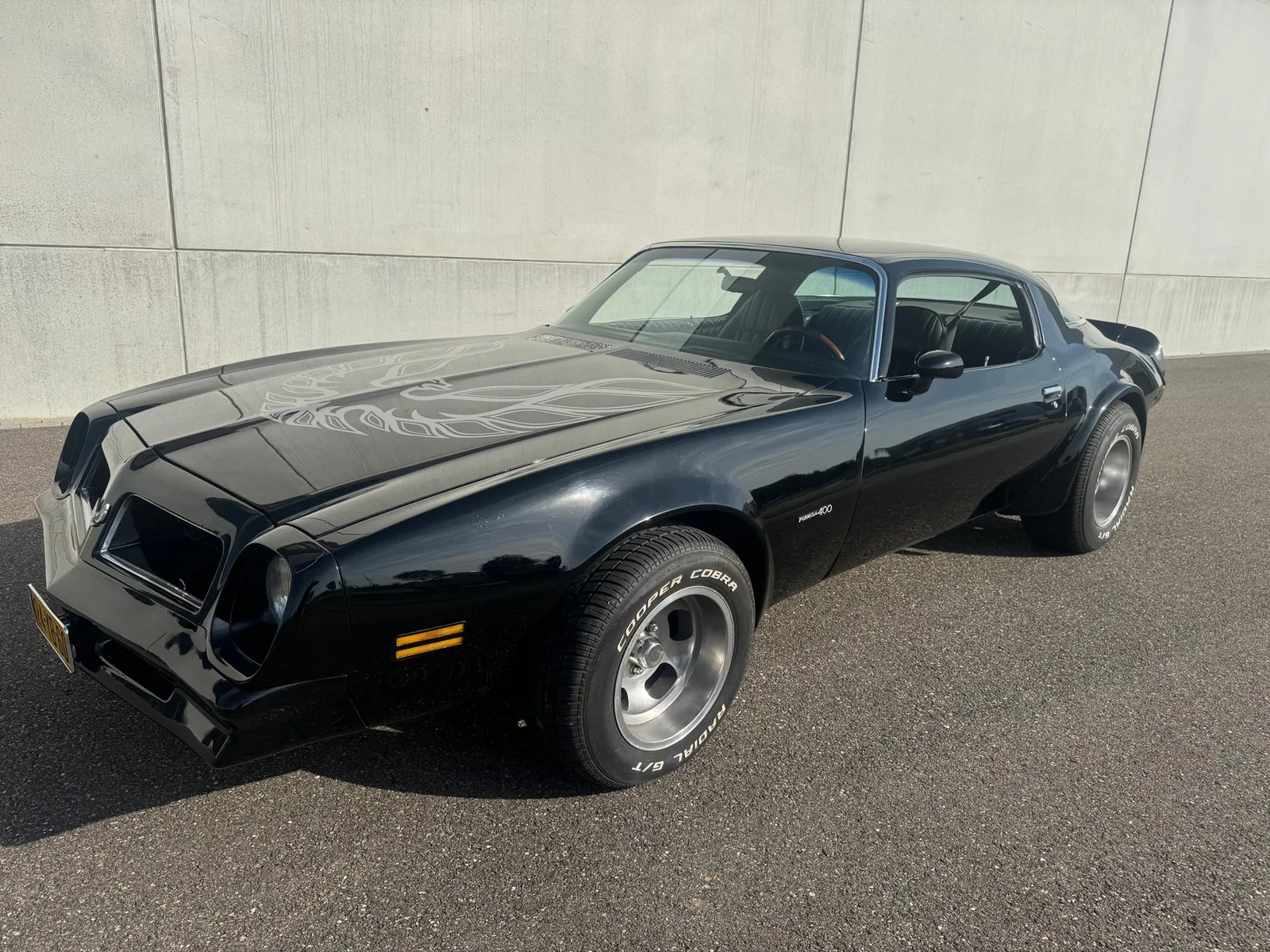 Pontiac Firebird (1976) — foto 1