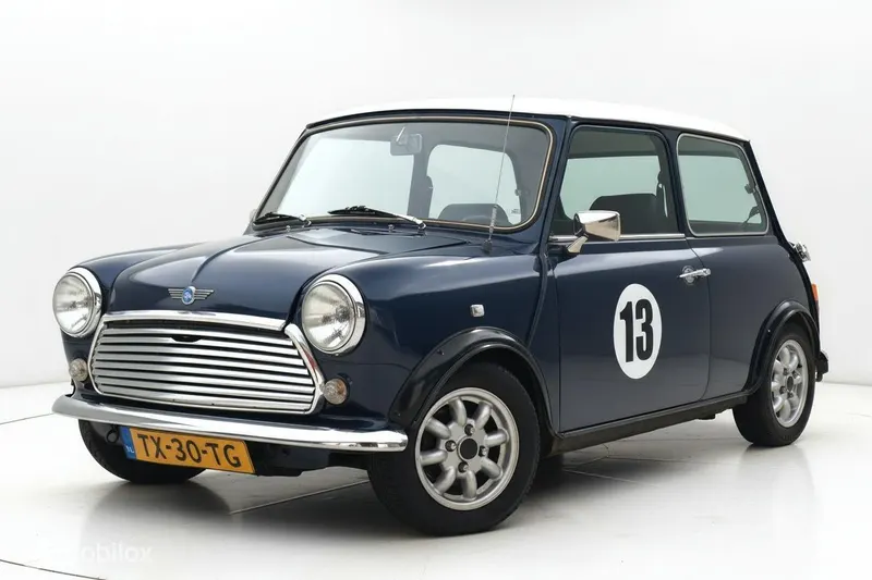 Austin Mini (1989)