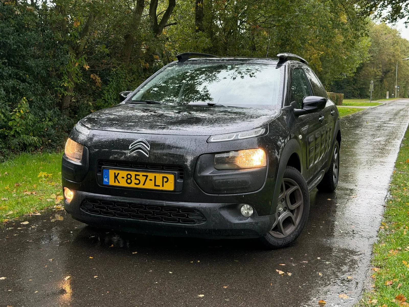 Citroën C4 Cactus (2016) — foto 1