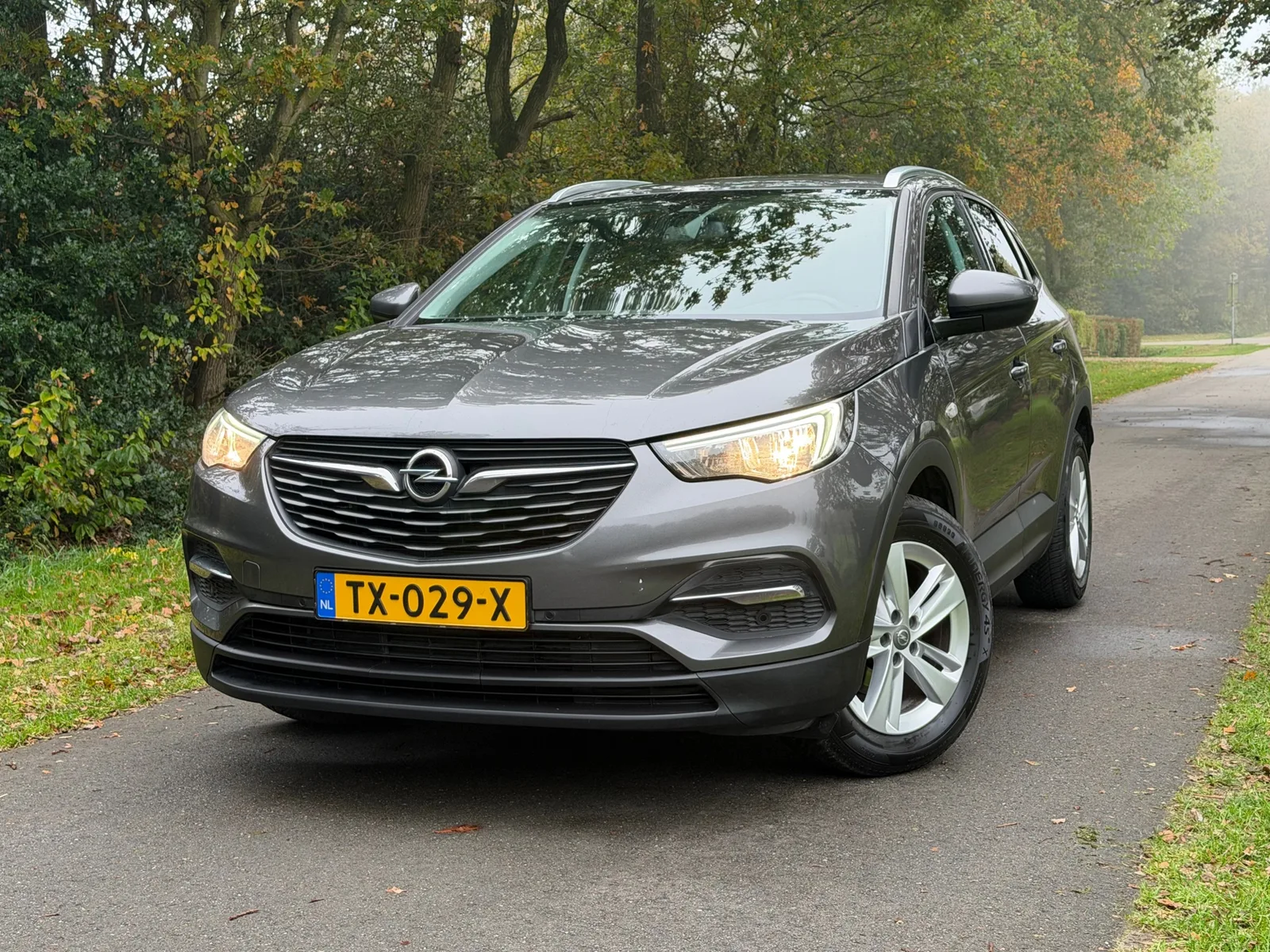 Opel Grandland (2018) — foto 1