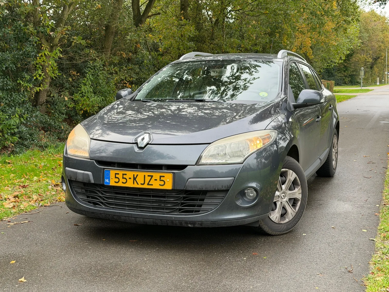Renault Mégane (2010) — foto 1
