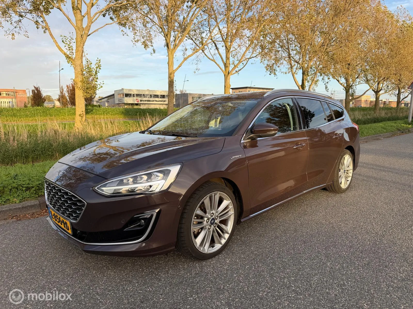 Ford Focus (2019) — foto 1