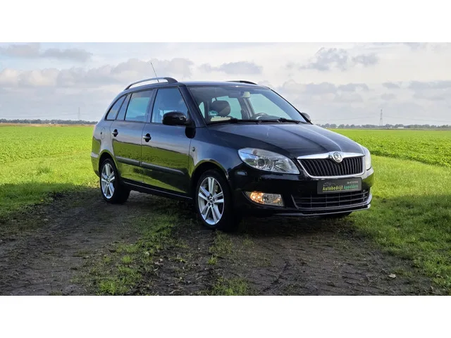 Škoda Fabia (2010) — foto 1