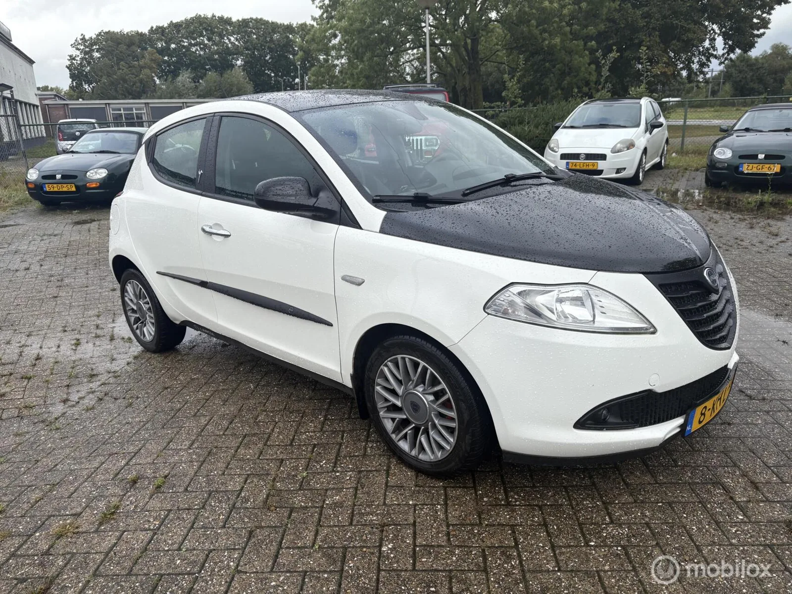 Lancia Ypsilon (2013) — foto 1