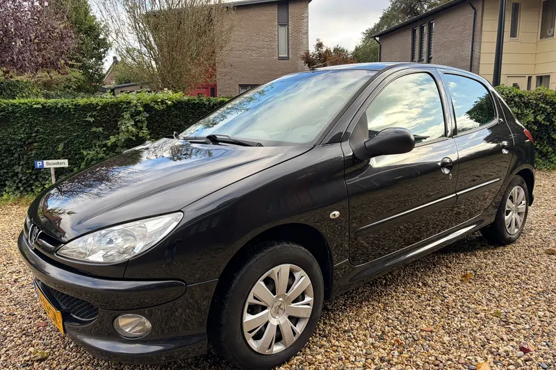 Peugeot 206 (2008)