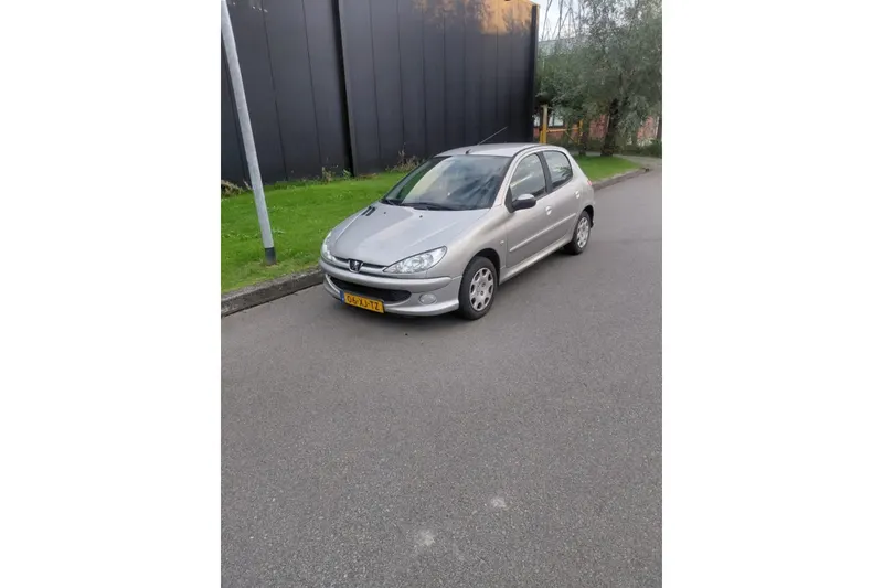 Peugeot 206 (2007)