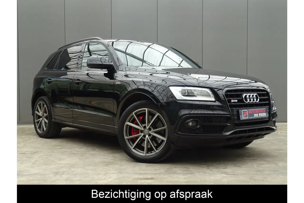 Audi SQ5 (2015) — foto 1