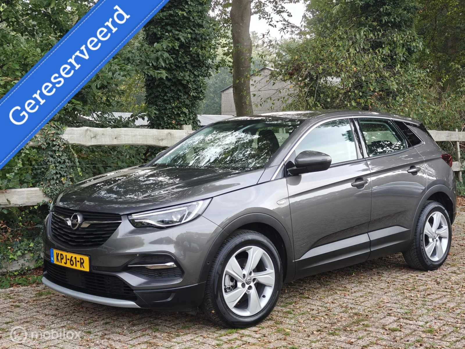 Opel Grandland (2020) — foto 1