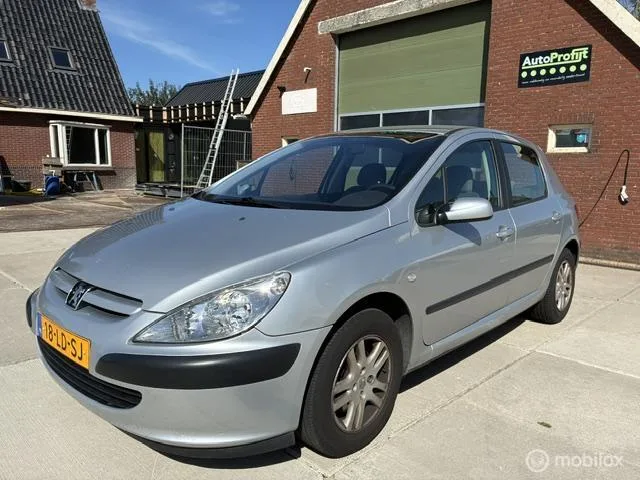 Peugeot 307 (2003) — foto 1