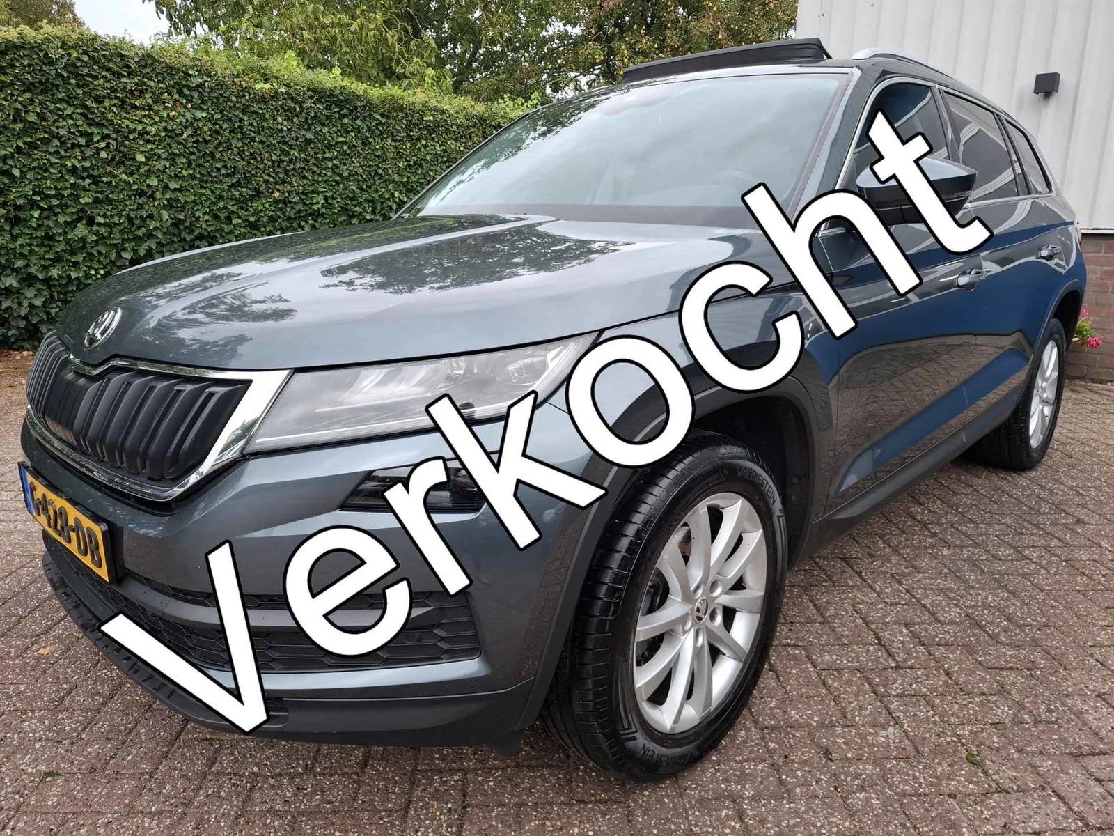 Škoda Kodiaq (2019) — foto 1