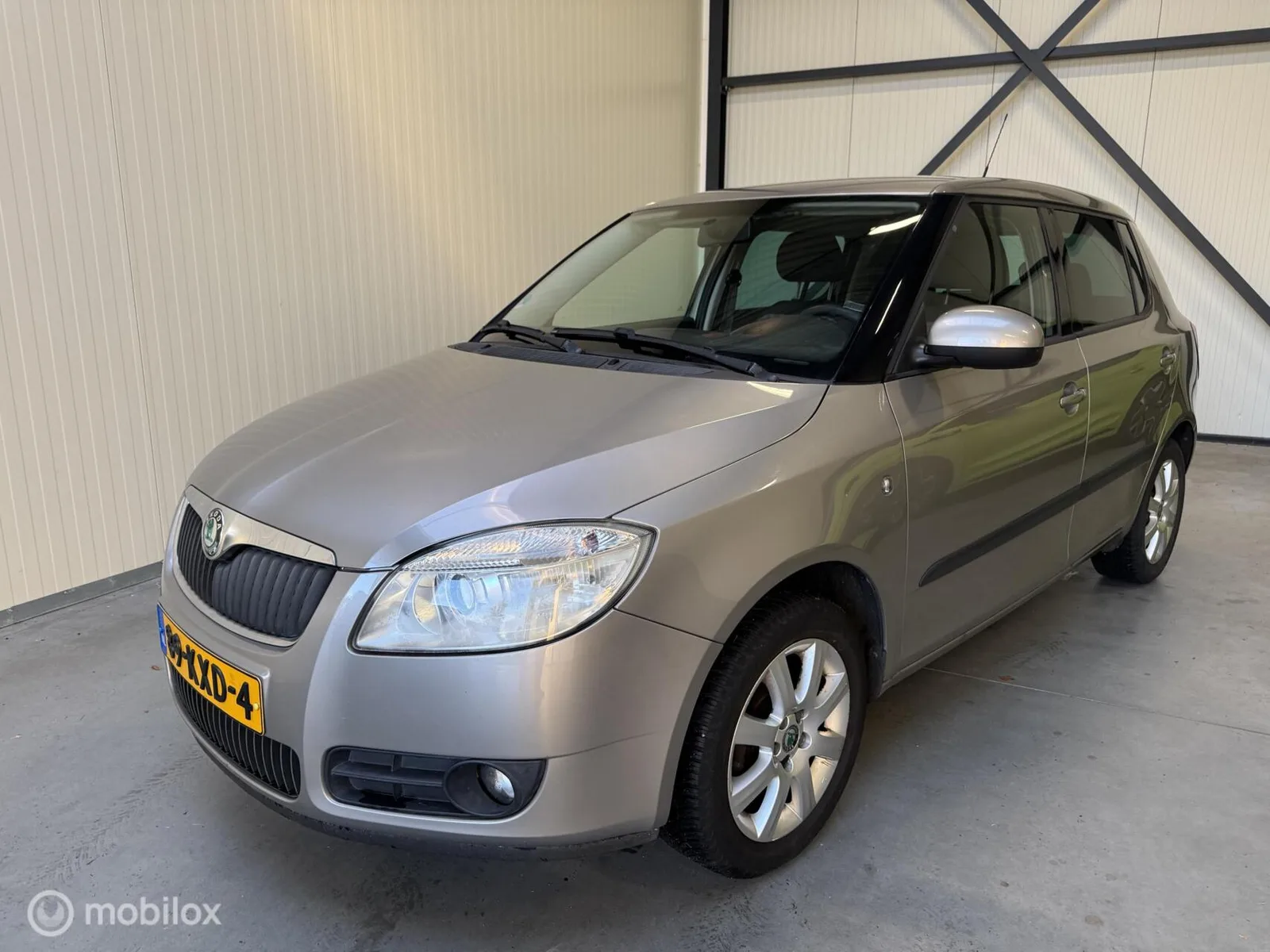 Škoda Fabia (2010) — foto 1