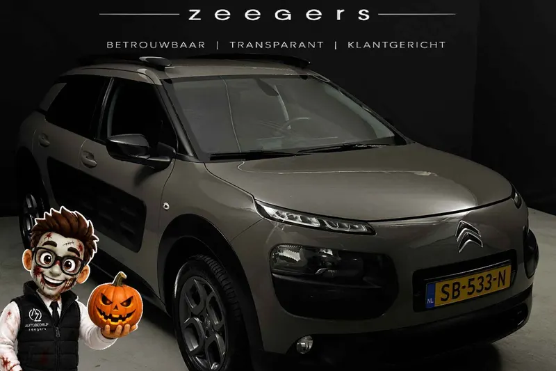 Citroën C4 Cactus (2018)
