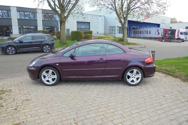 Peugeot 307 (2004)