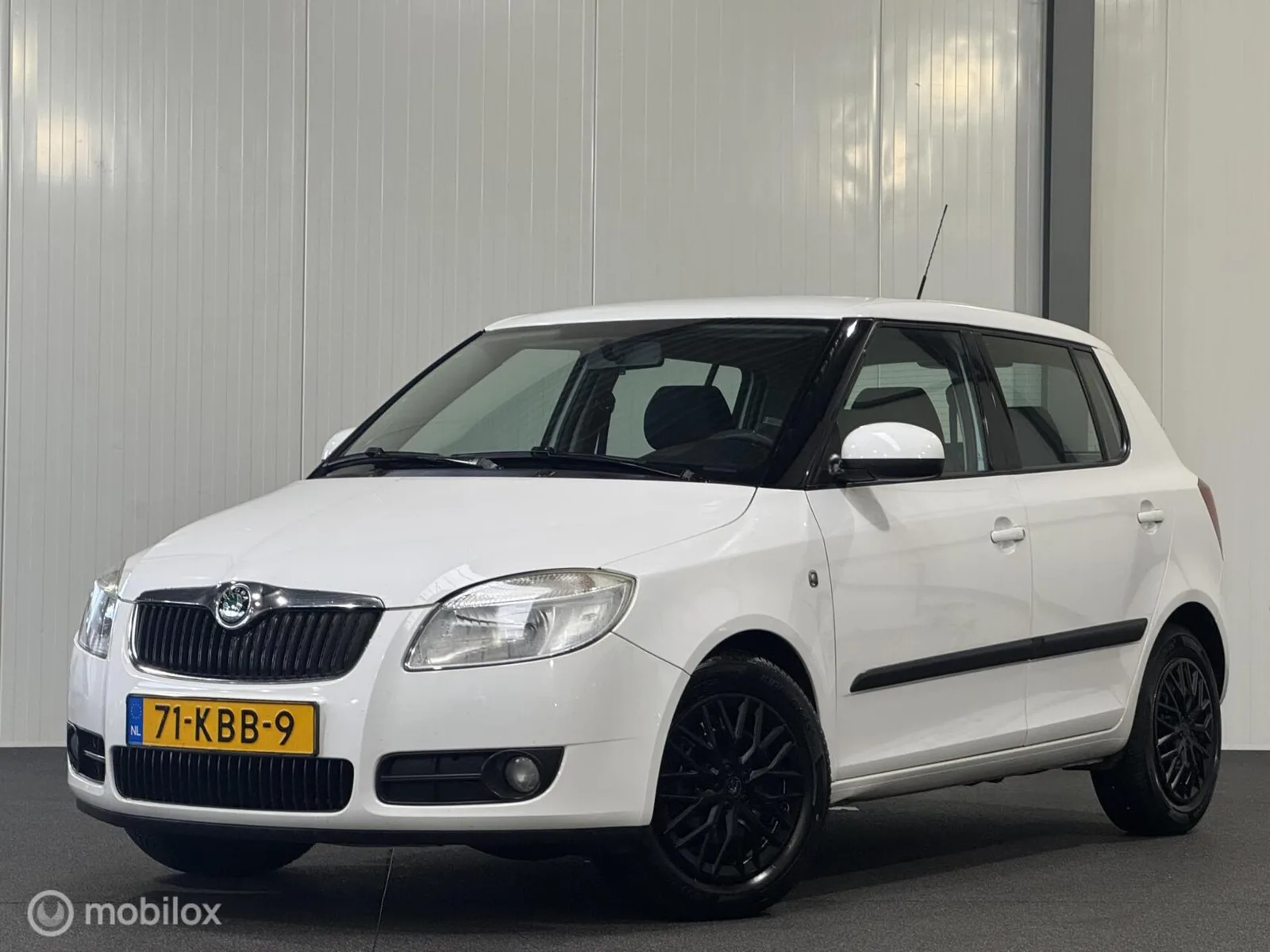 Škoda Fabia (2009) — foto 1
