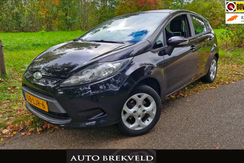 Ford Fiesta (2010)