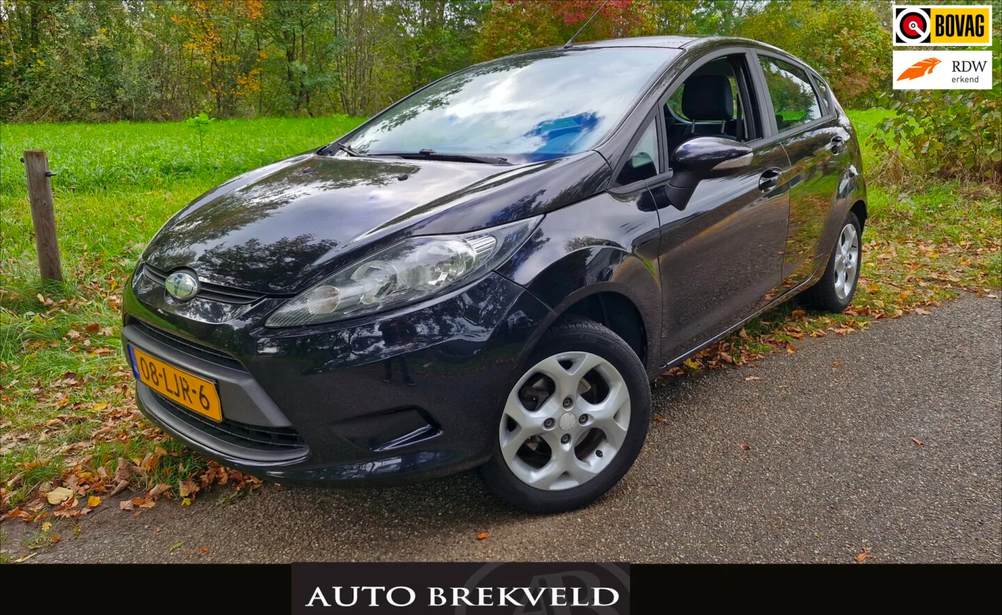 Ford Fiesta (2010) — foto 1