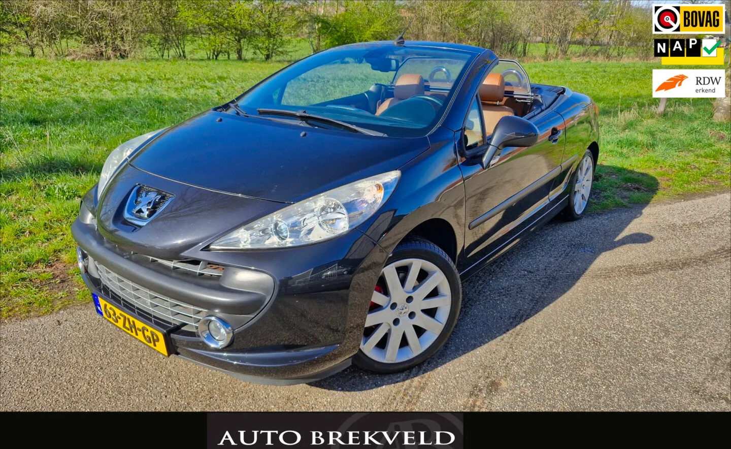 Peugeot 207 (2008) — foto 1