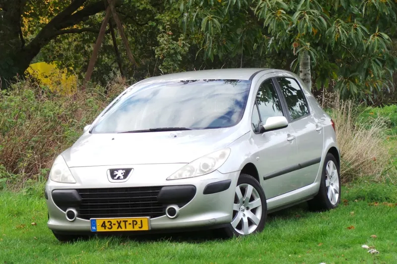 Peugeot 307 (2007)