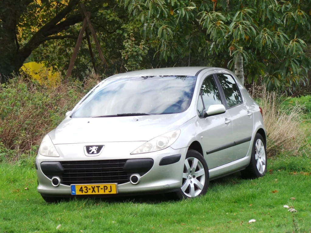 Peugeot 307 (2007) — foto 1