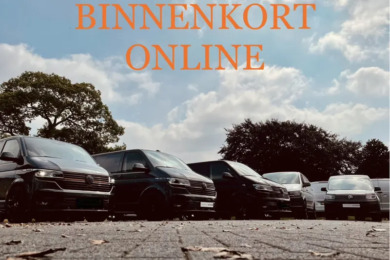Volkswagen ID. Buzz Cargo (2024)