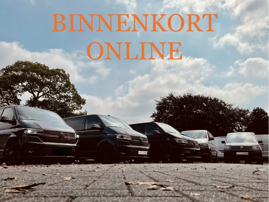 Volkswagen ID. Buzz Cargo (2024) — foto 1