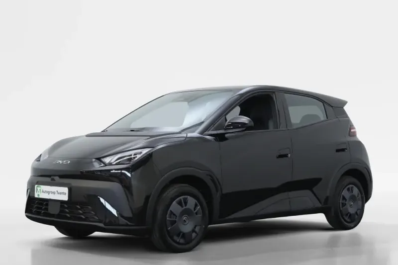 BYD Dolphin Surf (2026)
