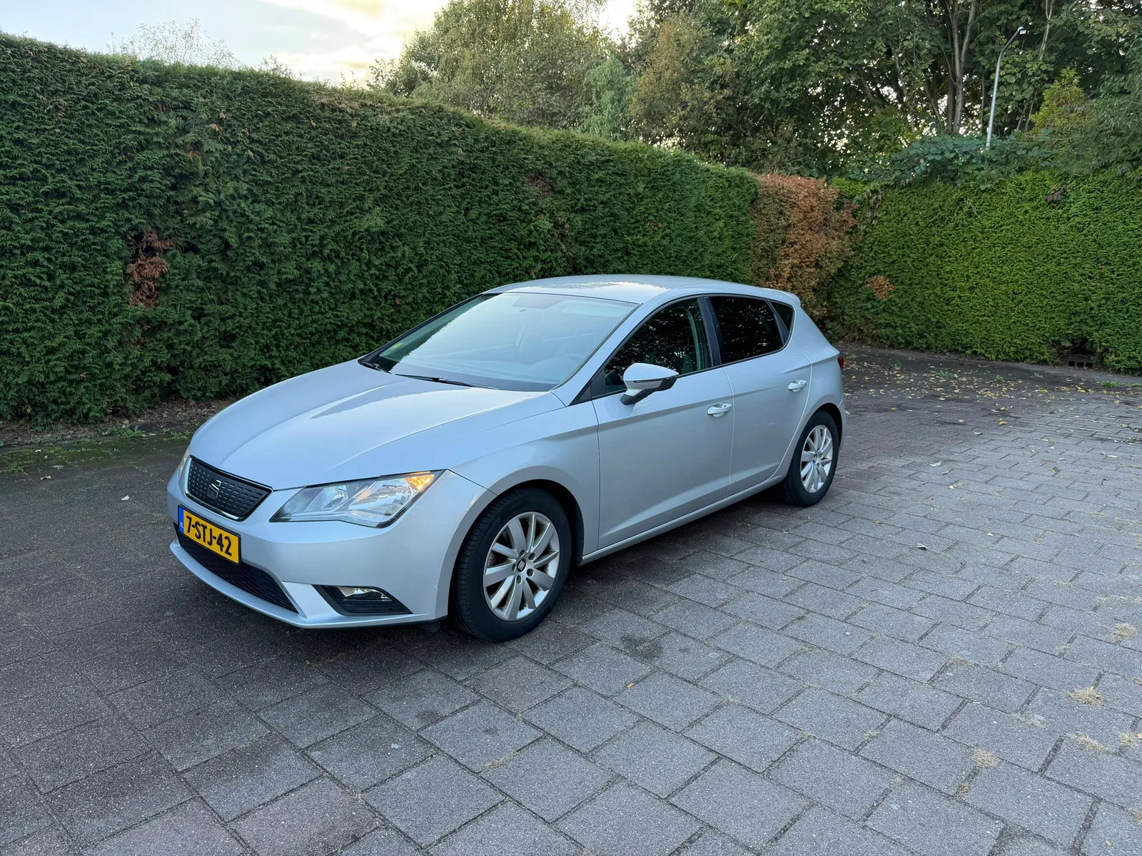 SEAT Leon (2013) — foto 1