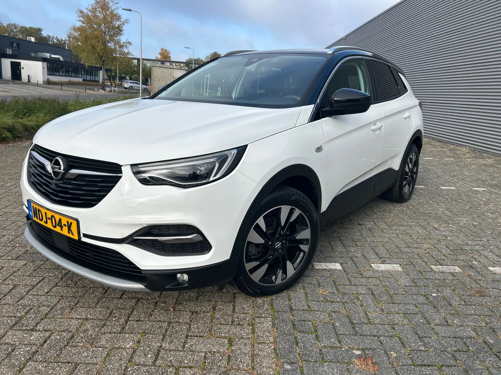 Opel Grandland (2019) — foto 1