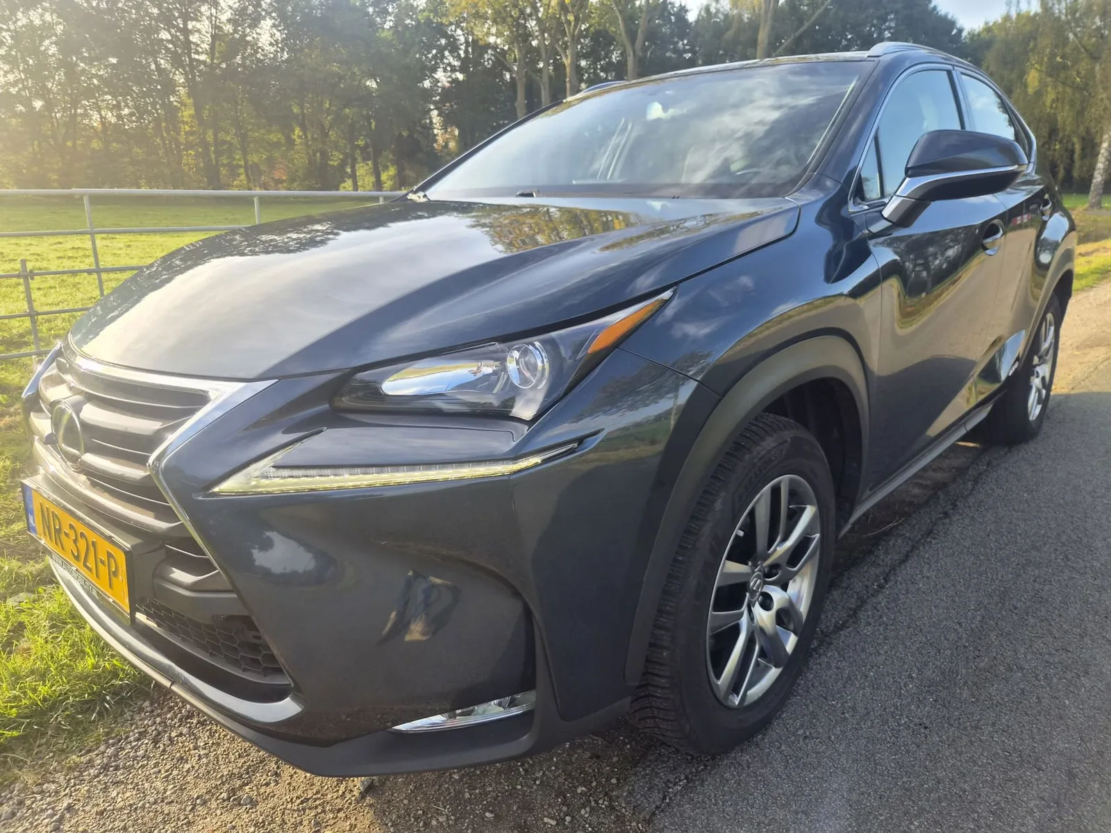 Lexus NX (2015) — foto 1
