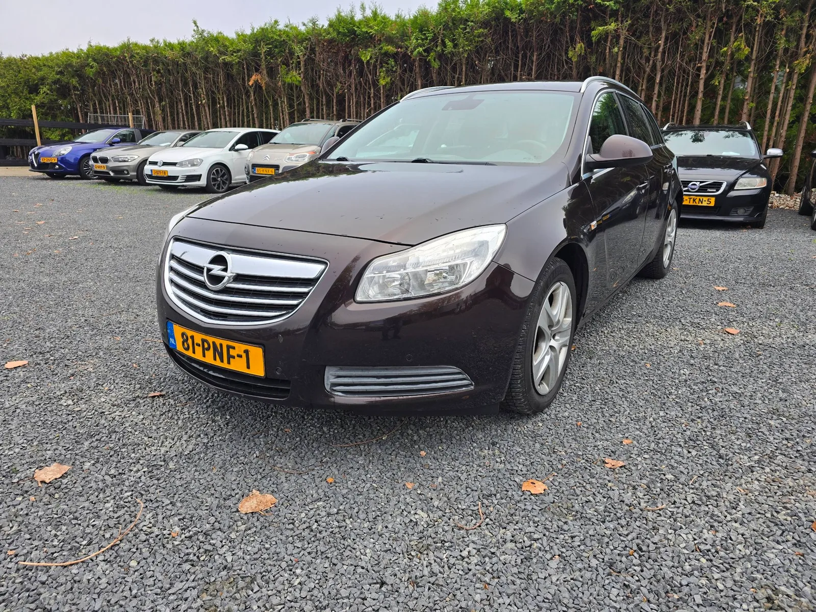 Opel Insignia (2011) — foto 1