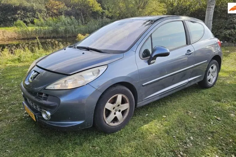 Peugeot 207 (2008)
