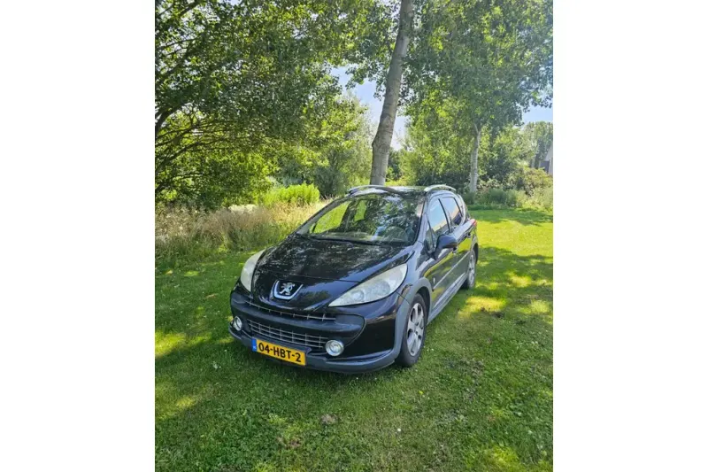 Peugeot 207 (2008)