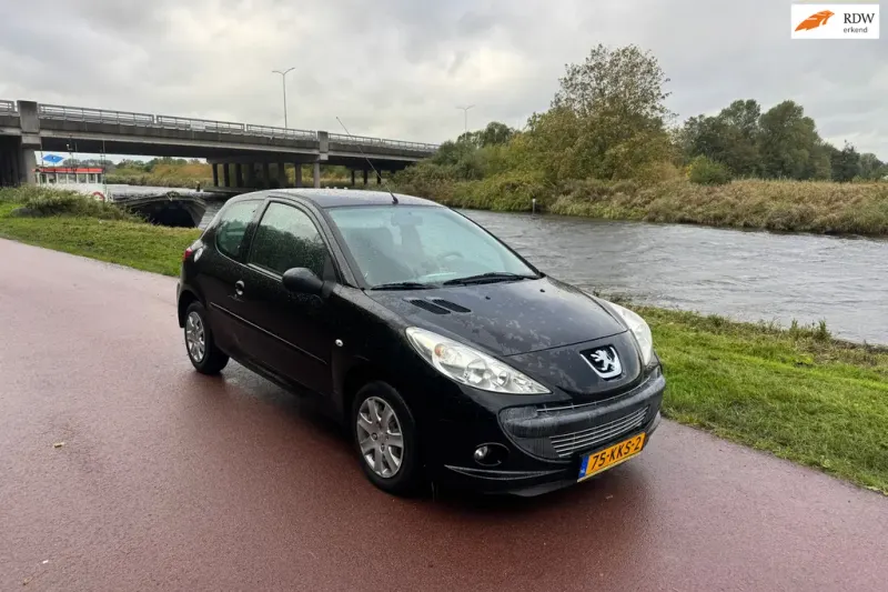 Peugeot 206 (2010)