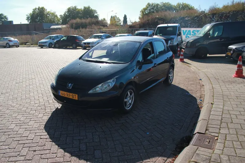 Peugeot 307 (2005)