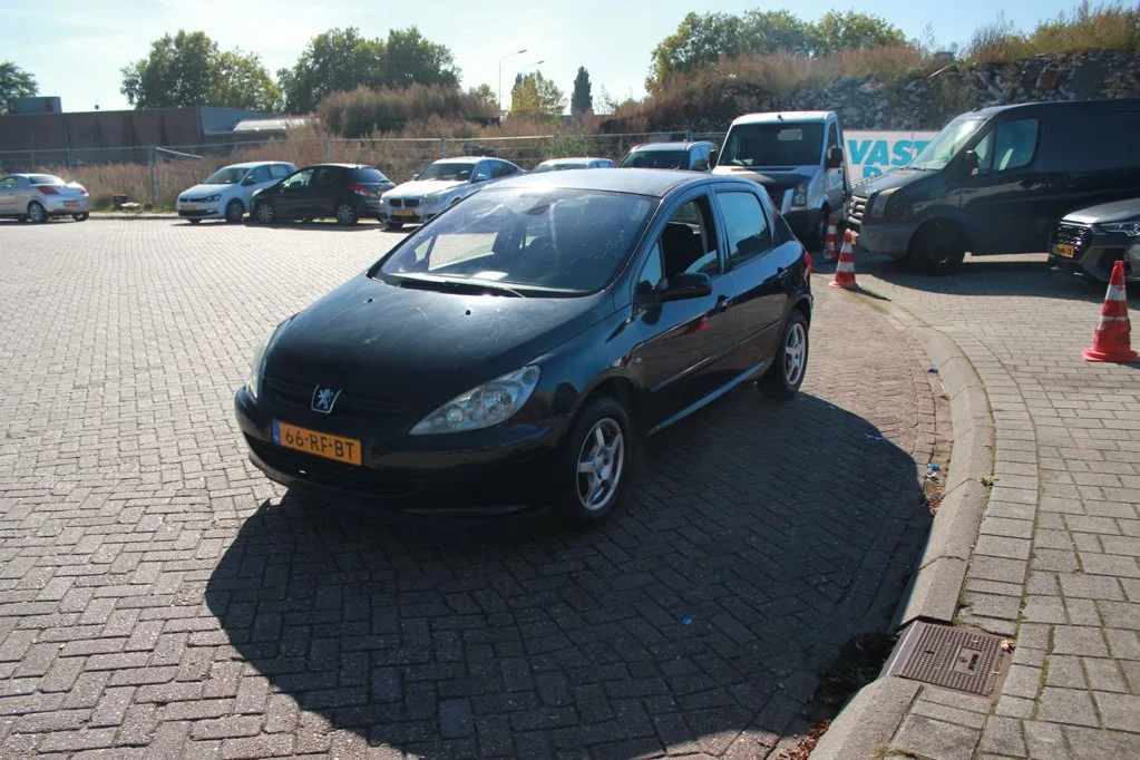 Peugeot 307 (2005) — foto 1