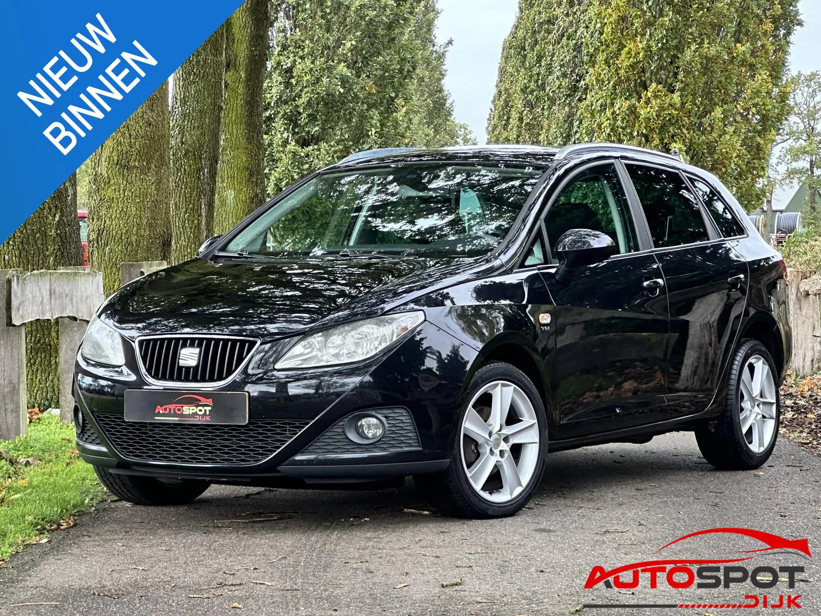 SEAT Ibiza (2010) — foto 1