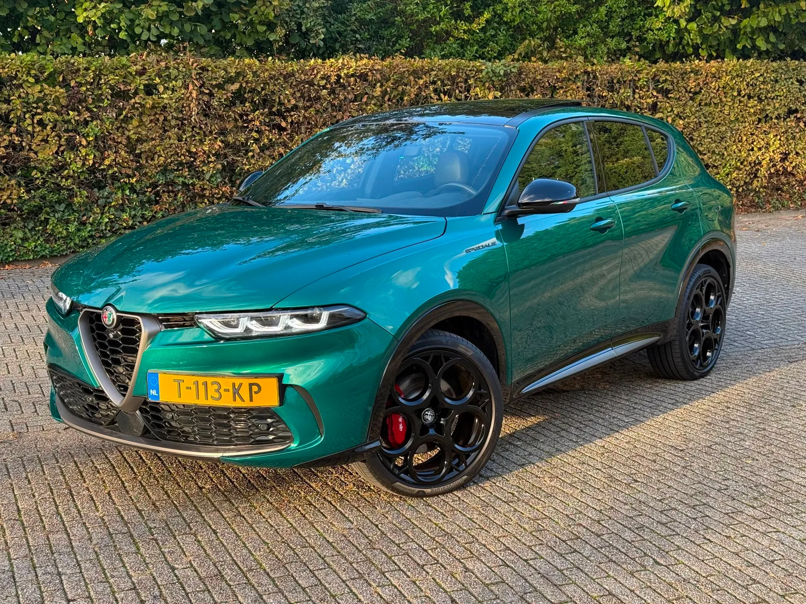 Alfa Romeo Tonale (2023) — foto 1