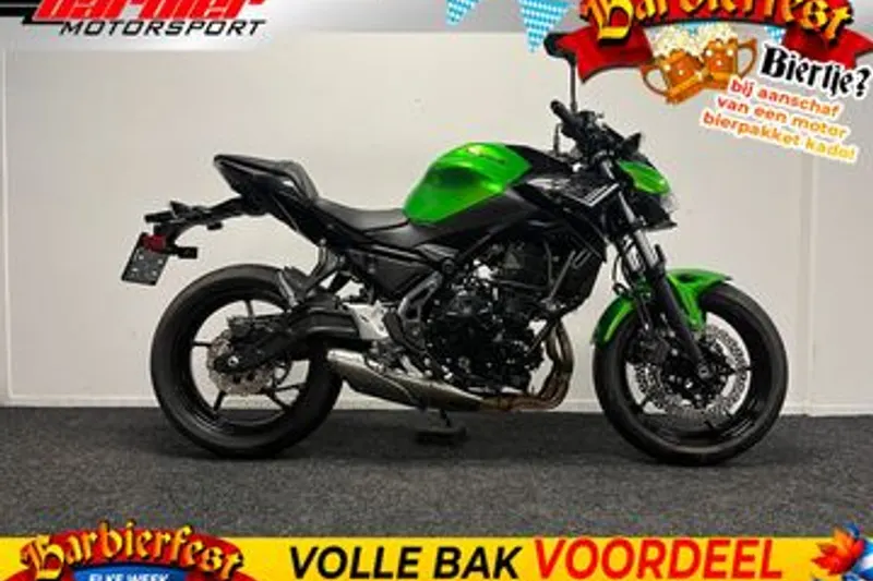 Kawasaki Z 650 (2021)