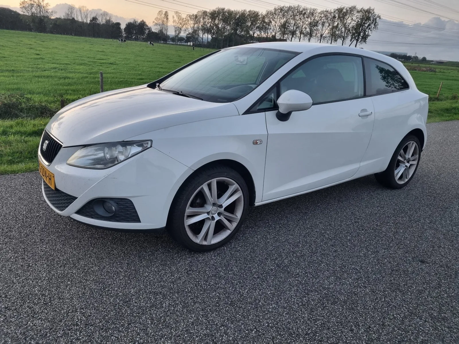 SEAT Ibiza (2010) — foto 1