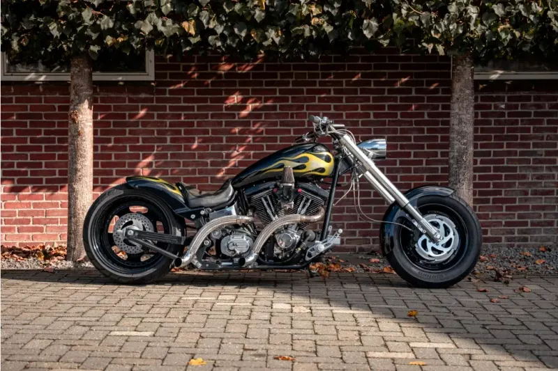 Santee CHOPPER custom (1991)