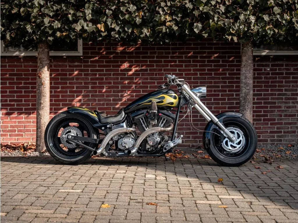 Santee CHOPPER custom (1991) — foto 1