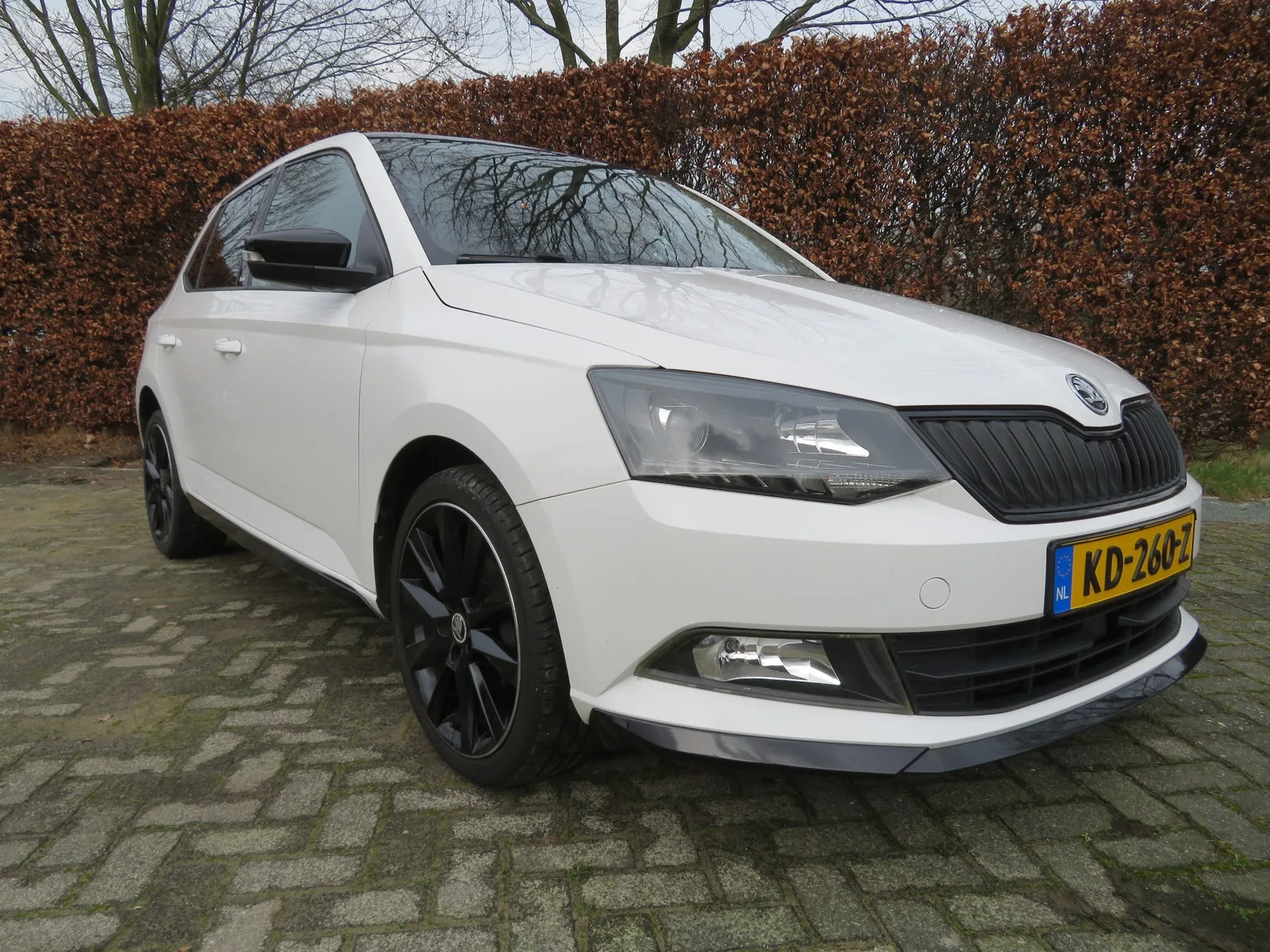 Škoda Fabia (2016) — foto 1