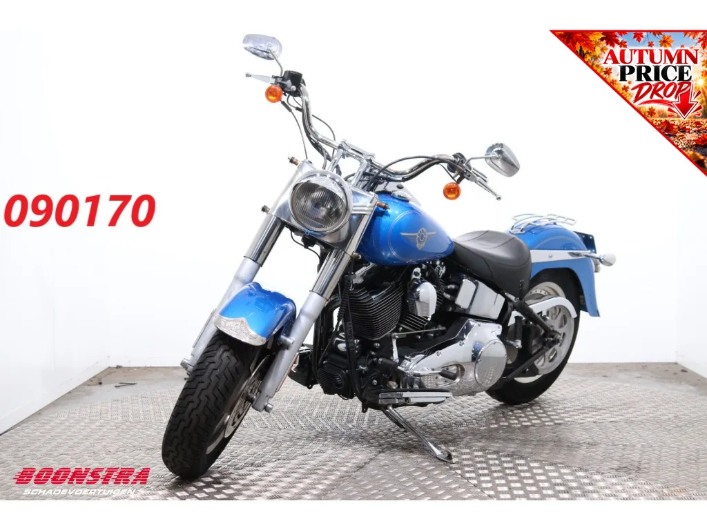 Harley-Davidson Fat Boy (2002) — foto 1