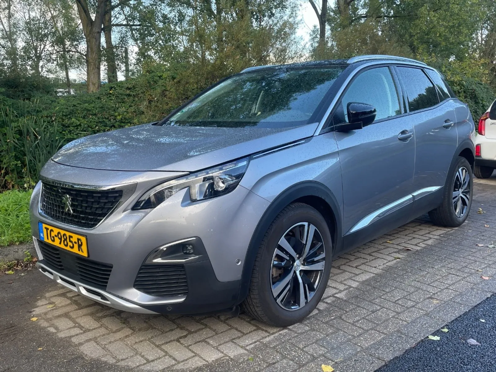 Peugeot 3008 (2018) — foto 1