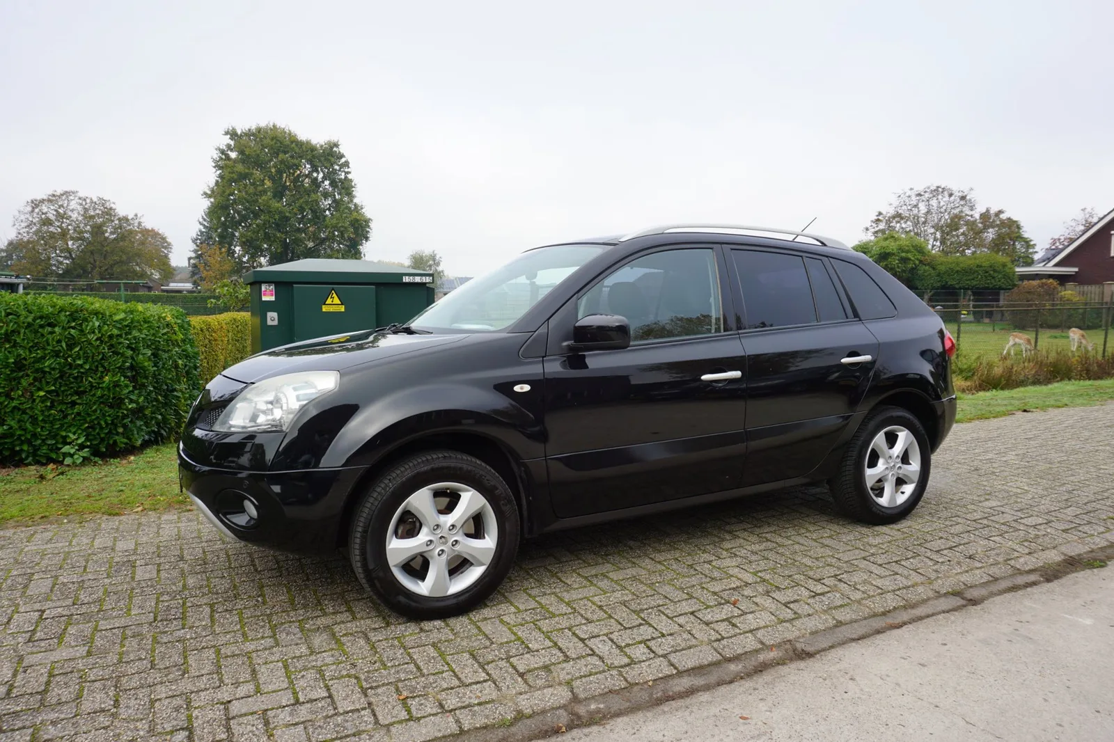 Renault Koleos (2008) — foto 1