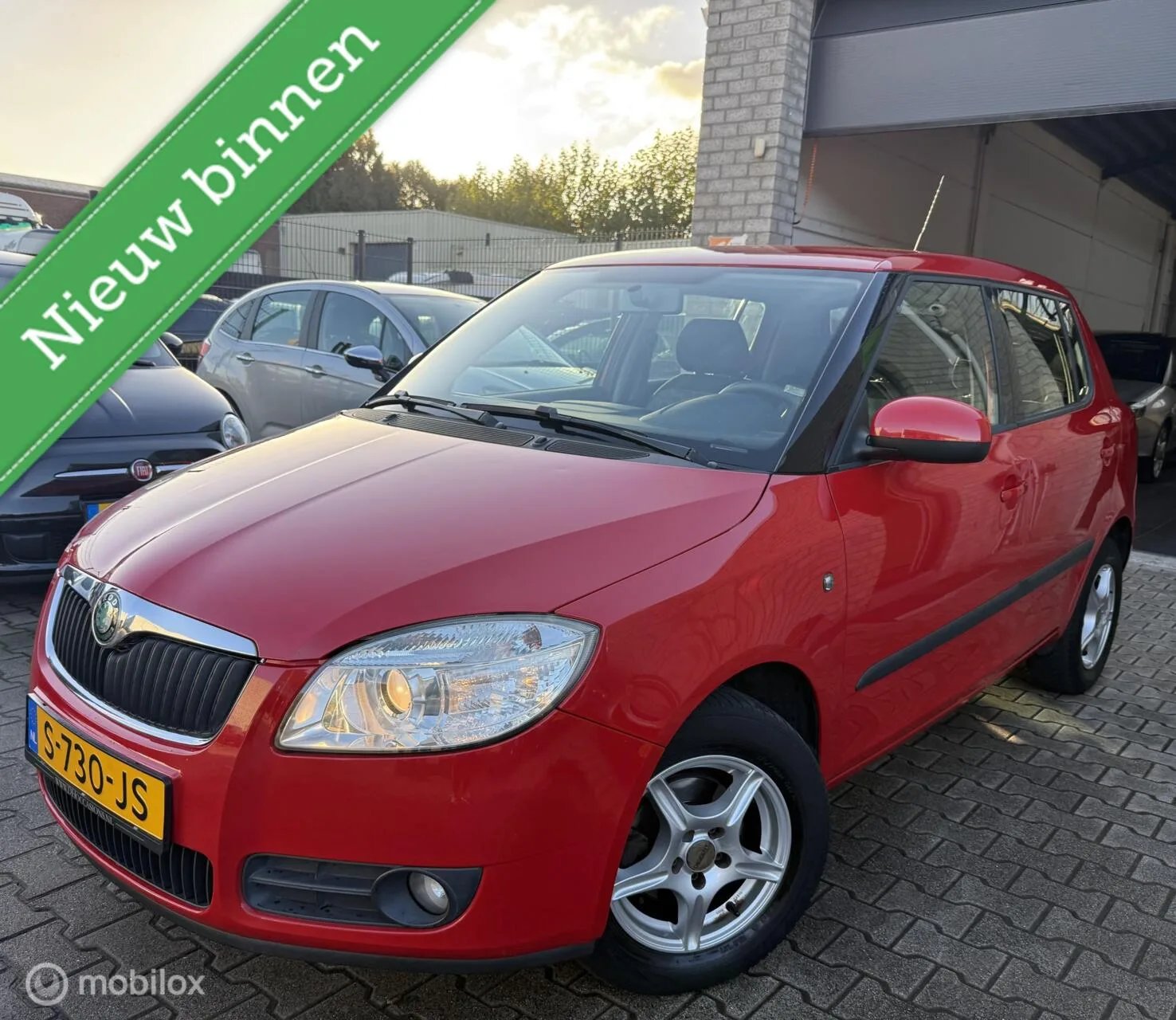 Škoda Fabia (2010) — foto 1